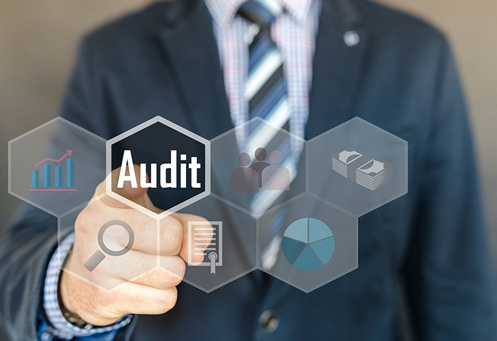 Tax Evasion Control and Stronger Audit Trails
